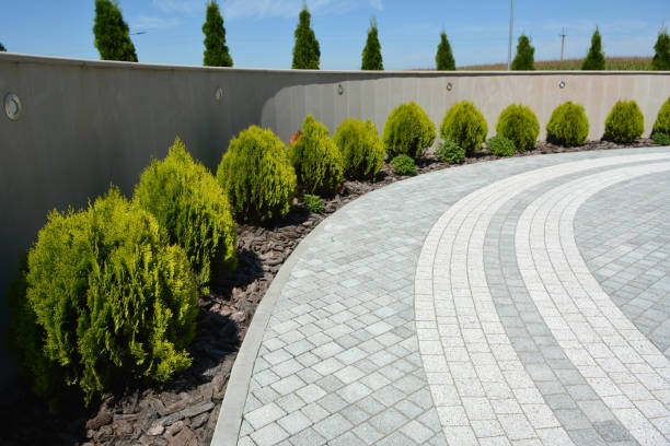 Best Affordable Driveway Pavers  in Carthage, TX
